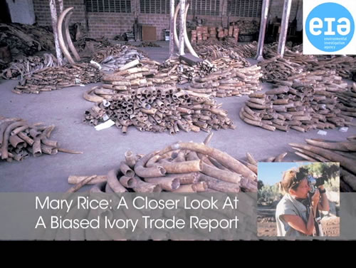 Episode 19: "A Closer Look At A Biased Ivory Trade Report" with Mary Rice from the Environmental Investigation Agency.