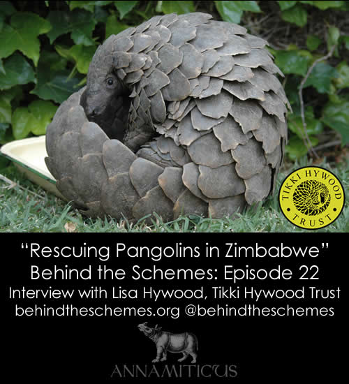 Behind the Schemes Episode 22: "Rescuing Pangolins in Zimbabwe"