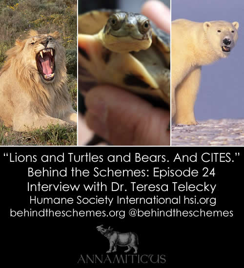 In Episode 24, we're talking about lions, turtles, bears, elephants, rhinos and CITES with Dr. Teresa Telecky from Humane Society International.