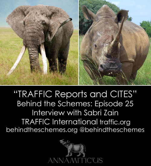 In Episode 25, we're talking about TRAFFIC reports and CITES with Sabri Zain from TRAFFIC International.