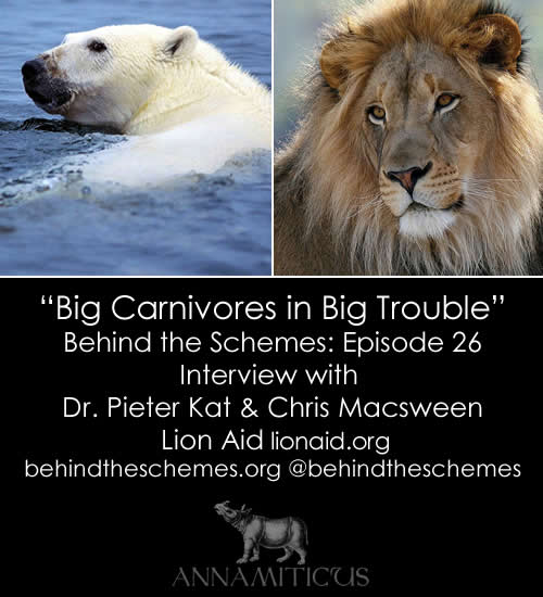 In Episode 26, we're talking about big carnivores in big trouble with Dr. Pieter Kat and Chris Macsween from Lion Aid.