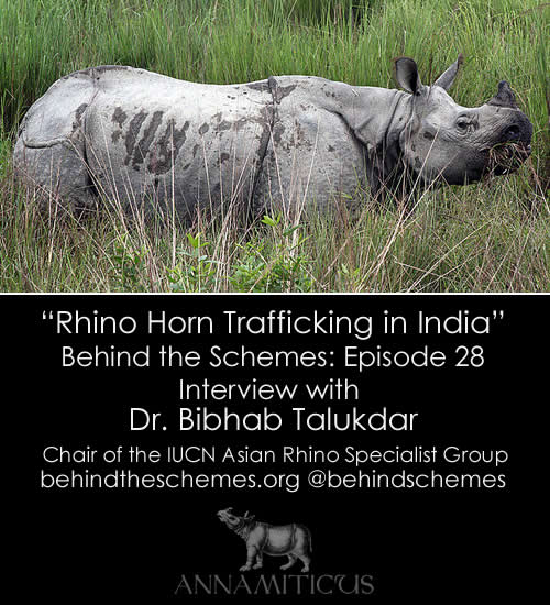 In Episode 28, we're talking about rhino horn trafficking in India with Dr. Bibhab Talukdar, Chair of the IUCN Asian Rhino Specialist Group.