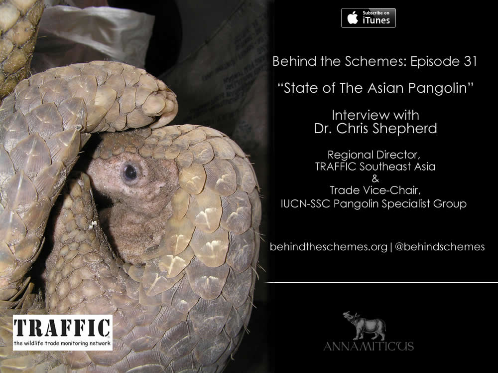 In Episode 31, we're talking about the state of the Asian pangolin.