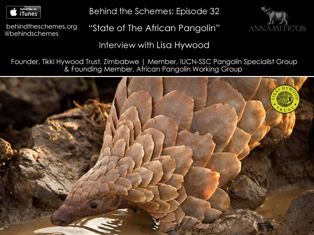 In Episode 31, we're talking about the state of the African pangolin.